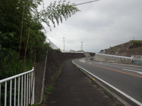 DSC08745