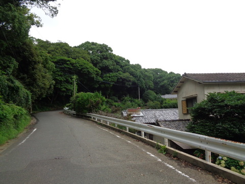 DSC00965