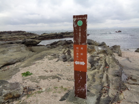 DSC08421
