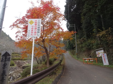 DSC01310