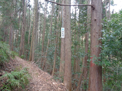 DSC09025