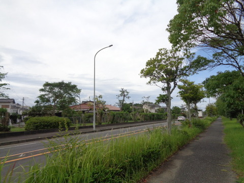 DSC00500