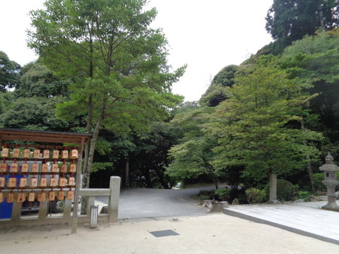 DSC06716