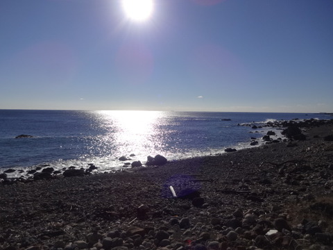DSC01422