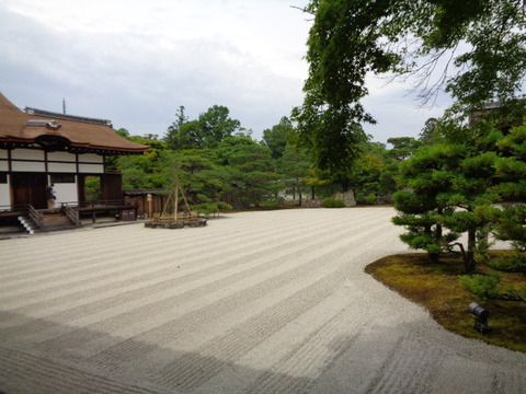 DSC00323