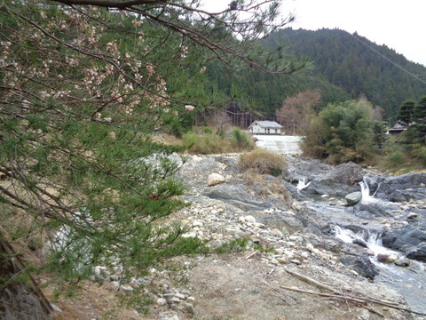 DSC04617