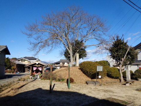DSC05397