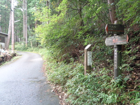 DSC01617