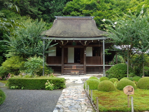 DSC01531