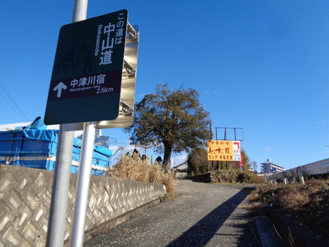 DSC05384