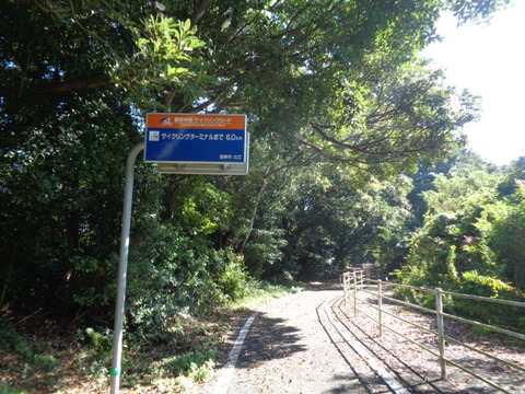 DSC09996