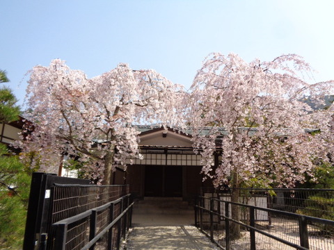 DSC08896