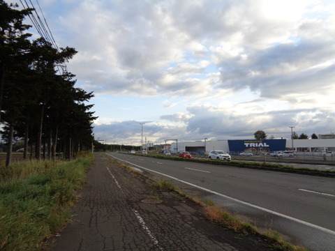 DSC03565