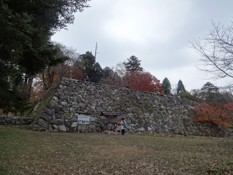 DSC01355