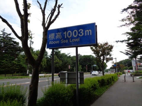 DSC09507
