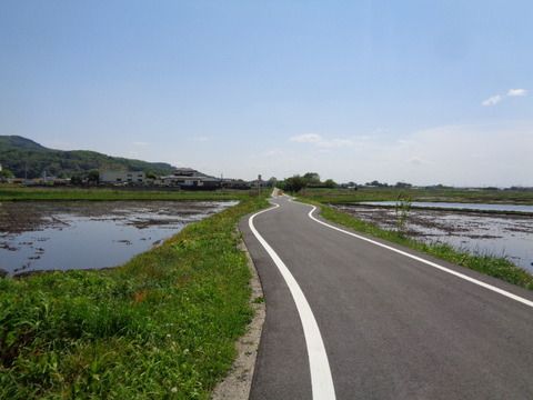 DSC01873