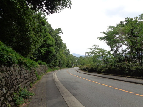 DSC00250