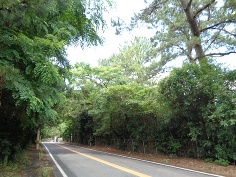 DSC00514