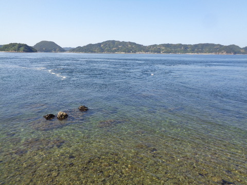 DSC09368
