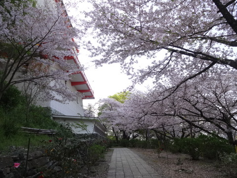 DSC04690