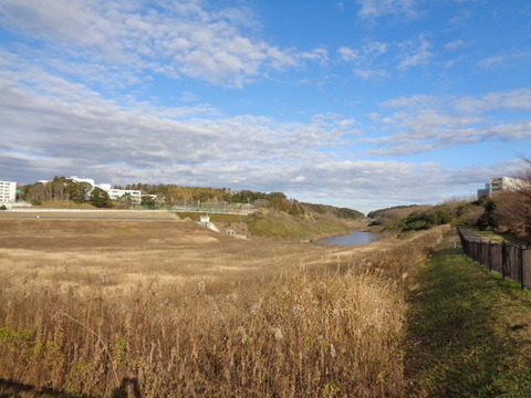 DSC07220