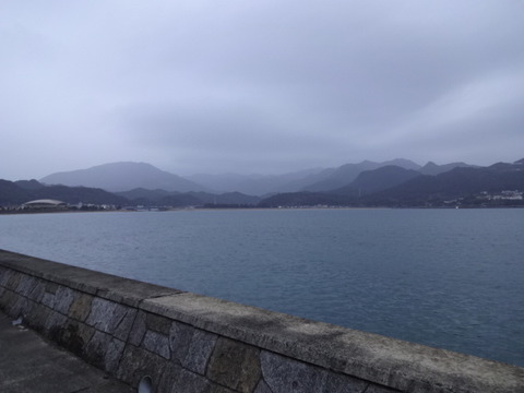 DSC03010
