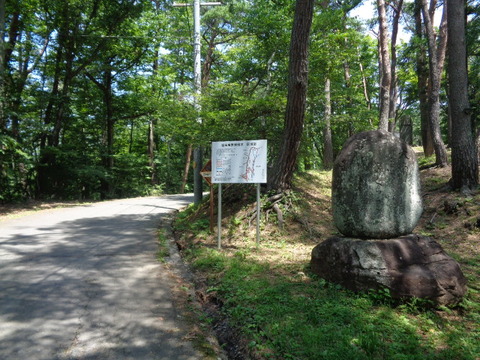 DSC01002