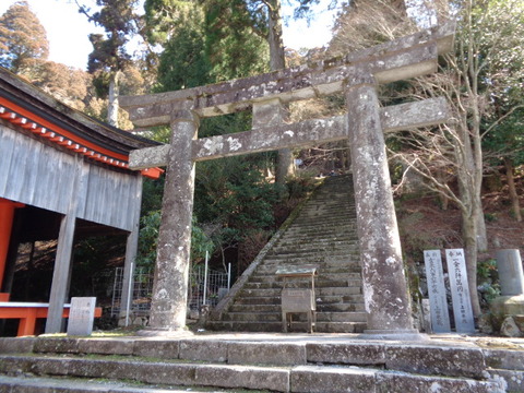 DSC04131