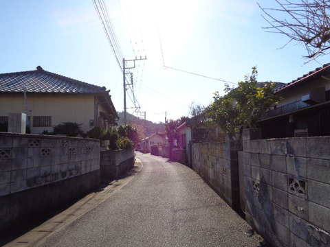 DSC01427
