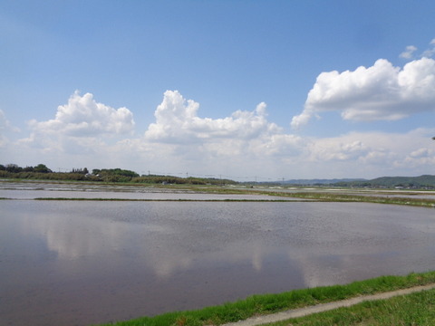 DSC01848