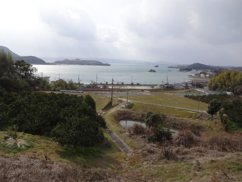 DSC04615