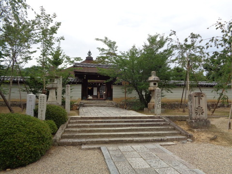 DSC00308