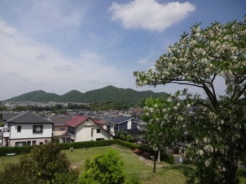 DSC06998