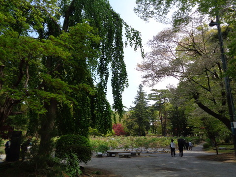 DSC01525