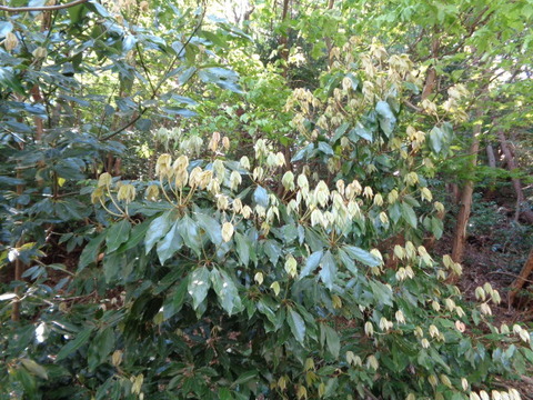 DSC03017