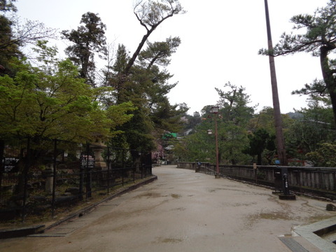 DSC09184