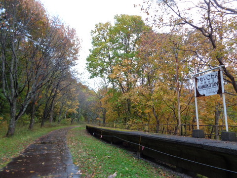 DSC03067