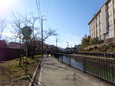 DSC03754