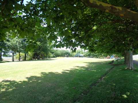 DSC08914