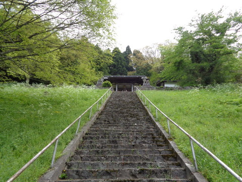 DSC05235