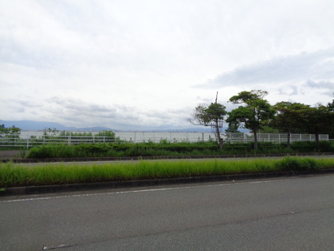 DSC00492