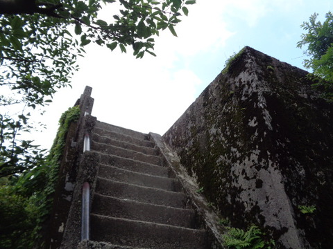 DSC06813