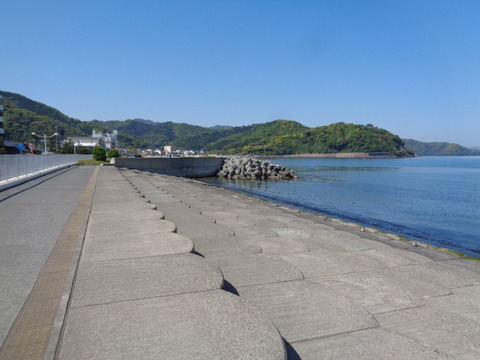 DSC03633