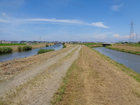 DSC08946