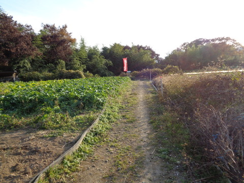 DSC04567