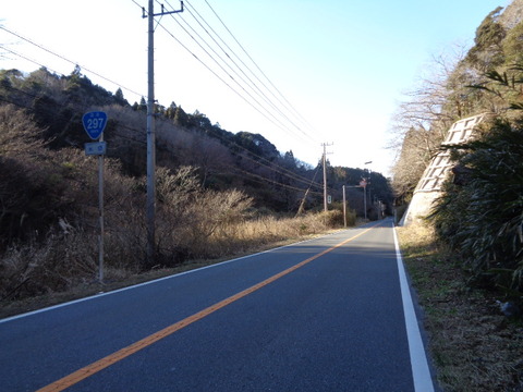 DSC02306