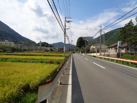 DSC02430