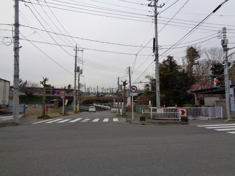 DSC08639