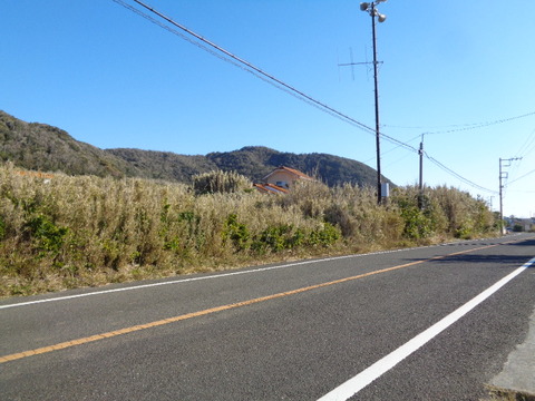 DSC01369