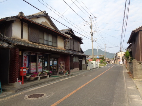 DSC07313